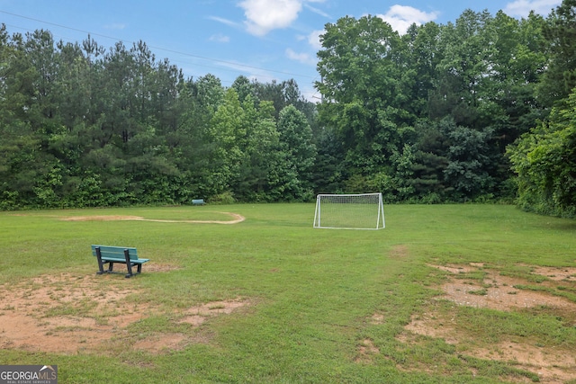 4218 Sandy Branch Dr, Buford, GA 30519 - view of yard with an area for soccer
