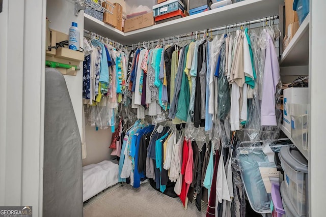 3100 Prince Ln, Saint Simons, GA 31522 - view of walk in closet