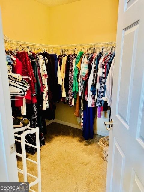 1535 Duluth Hwy Unit 1101, Lawrenceville, GA 30043 - walk in closet with carpet flooring
