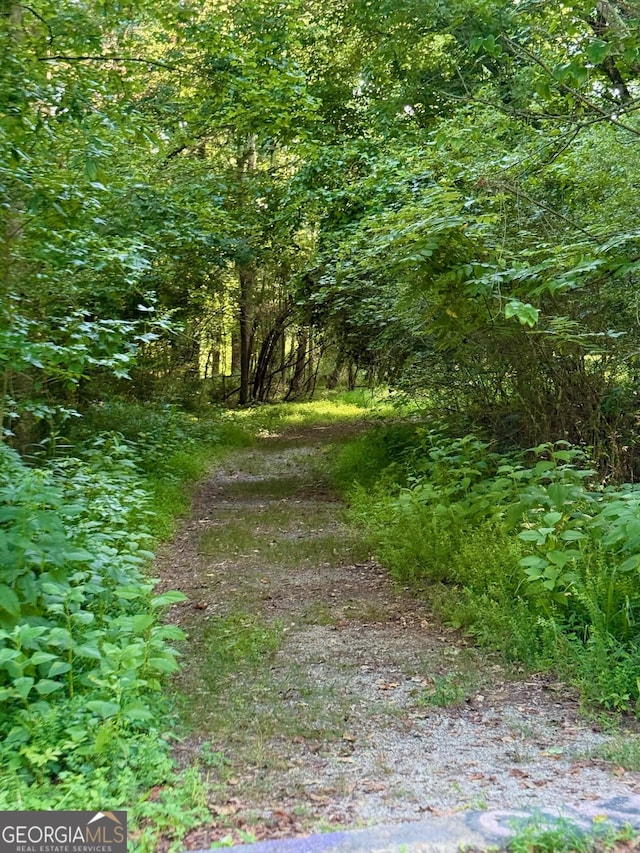 1850 Noblin Ridge Way, Duluth, GA 30097 - view of tree filled area