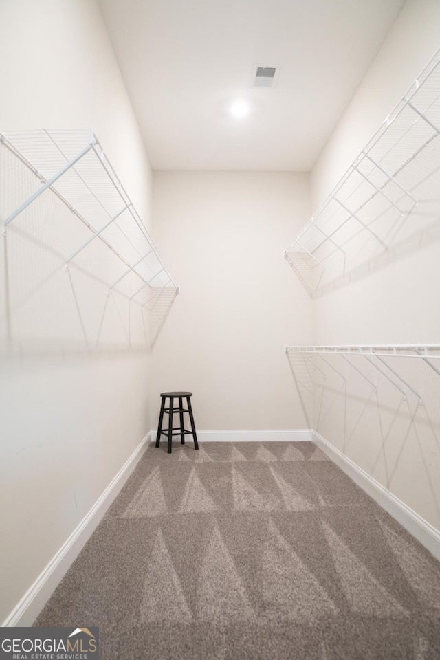 2665 Crowbrook Way, Cumming, GA 30040 - walk in closet with carpet floors