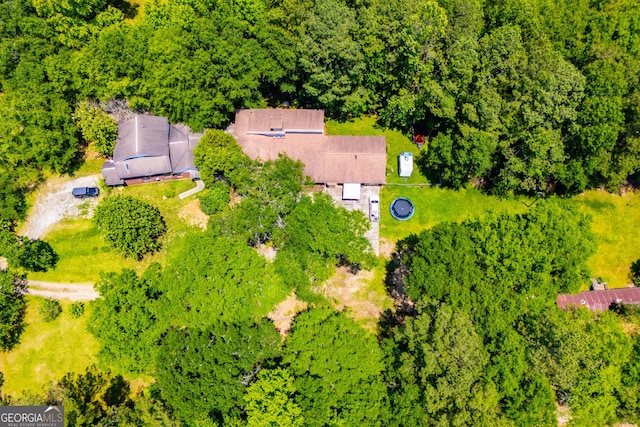 258 Big Oak Rd, Whitesburg, GA 30185 - bird's eye view