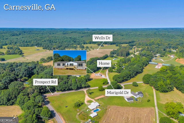 33 Marigold Dr, Carnesville, GA 30521 - bird's eye view of a heavily wooded area