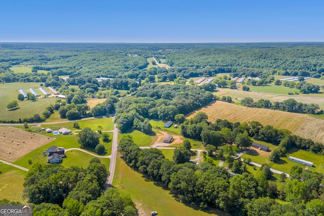 33 Marigold Dr, Carnesville, GA 30521 - aerial view of sparsely populated area with a heavily wooded area