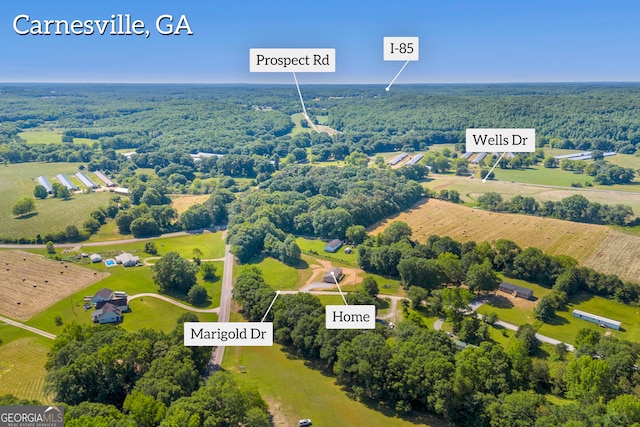 33 Marigold Dr, Carnesville, GA 30521 - overview of rural landscape with a heavily wooded area