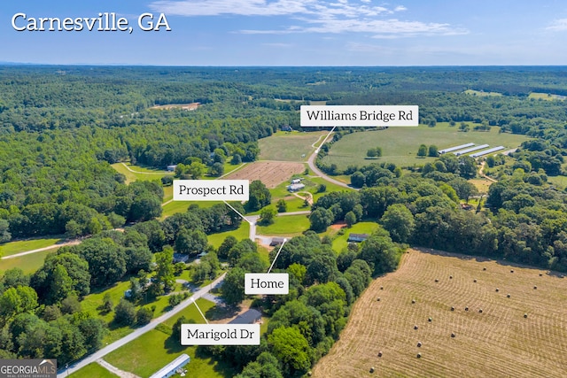 33 Marigold Dr, Carnesville, GA 30521 - aerial view of sparsely populated area featuring a heavily wooded area