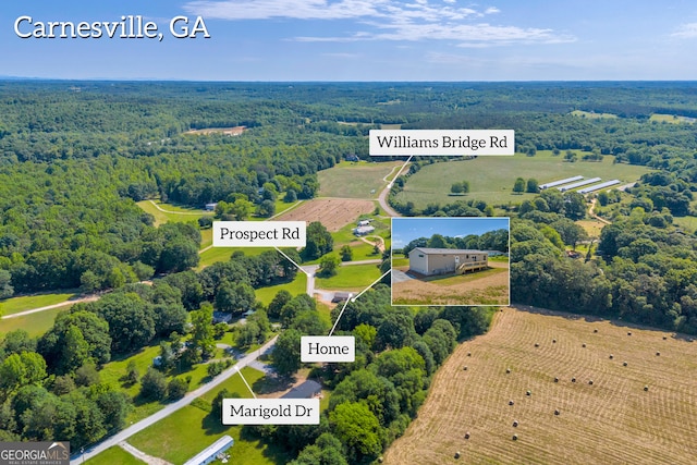 33 Marigold Dr, Carnesville, GA 30521 - overview of rural landscape with a forest