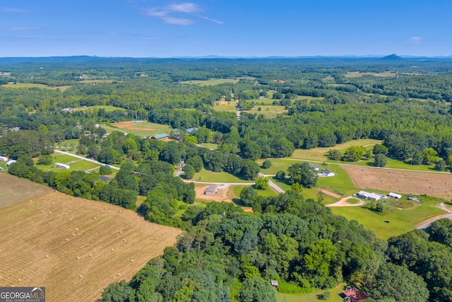 33 Marigold Dr, Carnesville, GA 30521 - aerial view of property and surrounding area featuring a heavily wooded area