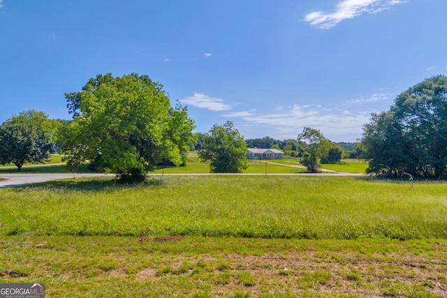 33 Marigold Dr, Carnesville, GA 30521 - view of yard