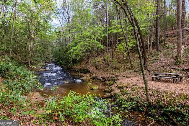 1573 Sautee Trl, Sautee Nacoochee, GA 30571 - view of yard featuring a forest view