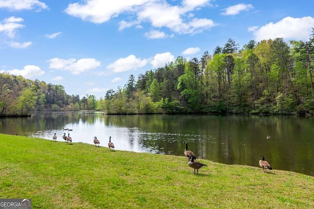 1573 Sautee Trl, Sautee Nacoochee, GA 30571 - water view with a forest