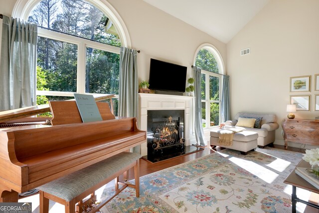 372 Abbington Way, Clarkesville, GA 30523 - living room with high vaulted ceiling, a lit fireplace, wood finished floors, and baseboards
