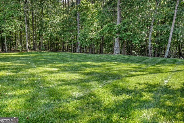 372 Abbington Way, Clarkesville, GA 30523 - view of grassy yard featuring a forest view