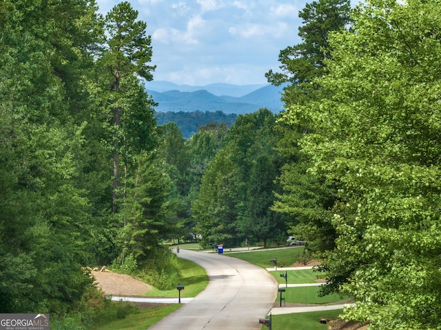 372 Abbington Way, Clarkesville, GA 30523 - view of property's community with a mountain view, a wooded view, and a yard