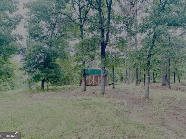 697 Waddell Rd, Woodbury, GA 30293 - view of yard featuring an outdoor structure and a barn