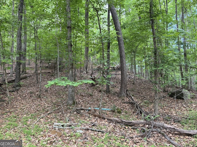 0 Harrison Dr, Lithia Springs, GA 30122