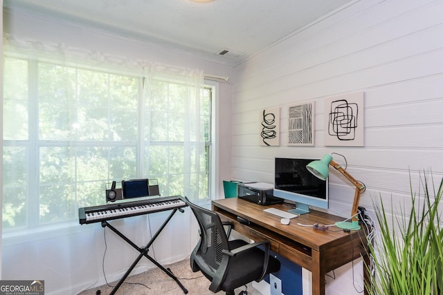 72 Sutton Pl, Avondale Estates, GA 30002 - office space featuring wood walls