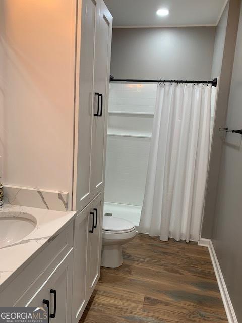 3827 Avant Rd, Blackshear, GA 31516 - bathroom featuring vanity, wood finished floors, toilet, and a shower with curtain