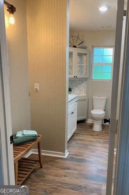 3827 Avant Rd, Blackshear, GA 31516 - bathroom featuring wood finished floors, vanity, and toilet