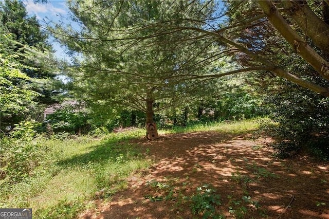 424 Yellow River Walk, Lawrenceville, GA 30043 - view of tree filled area
