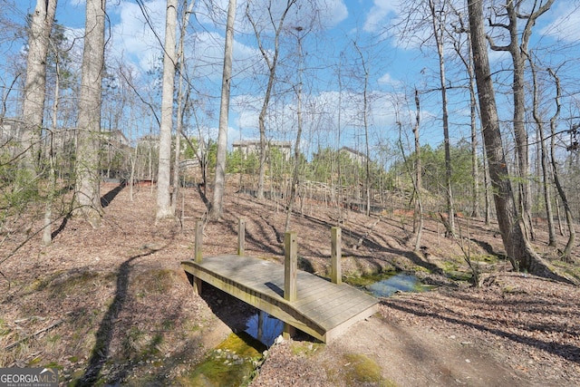 6024 Park Bay Ct, Flowery Branch, GA 30542 - view of dock