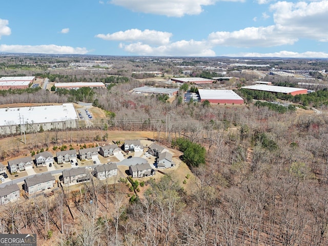 6024 Park Bay Ct, Flowery Branch, GA 30542 - aerial overview of property's location