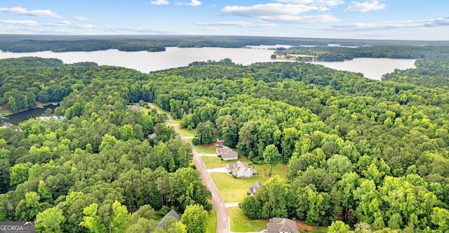 108 Hidden Springs Dr, Lagrange, GA 30240 - drone / aerial view of a large body of water and a heavily wooded area