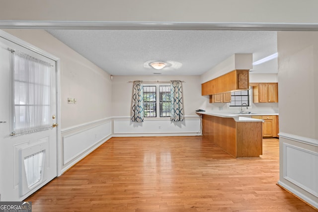 1206 Zittrouer Rd, Guyton, GA 31312 - kitchen featuring a peninsula, a sink, light countertops, light wood-type flooring, and wainscoting