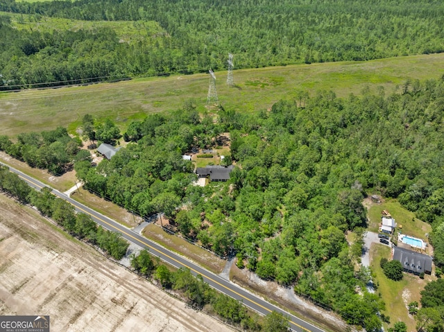 1206 Zittrouer Rd, Guyton, GA 31312 - aerial view of a forest