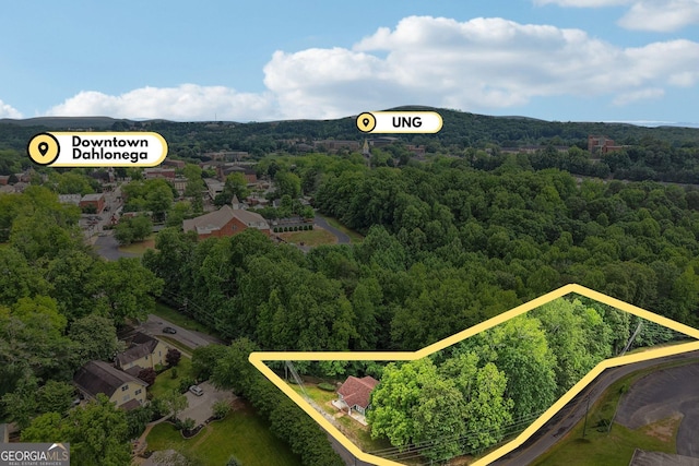 399 N Chestatee St, Dahlonega, GA 30533 - aerial view of property and surrounding area with a forest and property boundaries highlighted