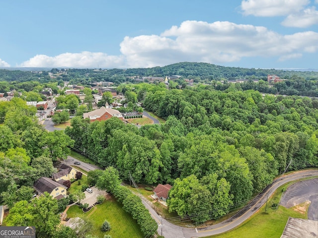 399 N Chestatee St, Dahlonega, GA 30533 - bird's eye view of a forest