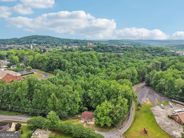 399 N Chestatee St, Dahlonega, GA 30533 - drone / aerial view of a forest