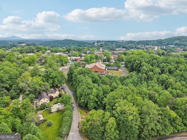 399 N Chestatee St, Dahlonega, GA 30533 - bird's eye view of a forest