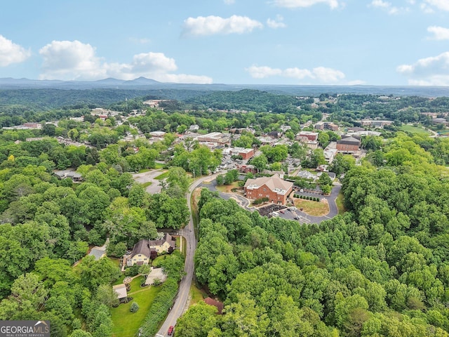 399 N Chestatee St, Dahlonega, GA 30533 - drone / aerial view of a heavily wooded area