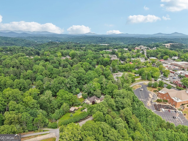 399 N Chestatee St, Dahlonega, GA 30533 - bird's eye view of a forest and a mountainous background