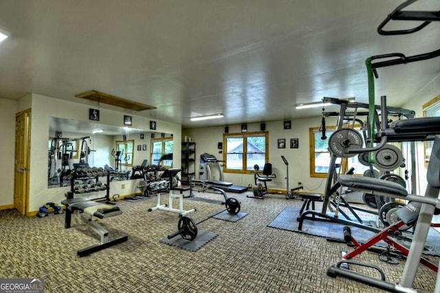 241 Dunn Mill Creek Rd, Blue Ridge, GA 30513 - exercise room featuring carpet flooring
