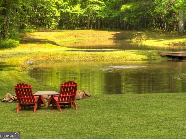241 Dunn Mill Creek Rd, Blue Ridge, GA 30513 - view of property's community featuring a water view