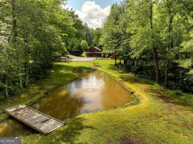 241 Dunn Mill Creek Rd, Blue Ridge, GA 30513 - view of property's community with a yard, a water view, and a forest view