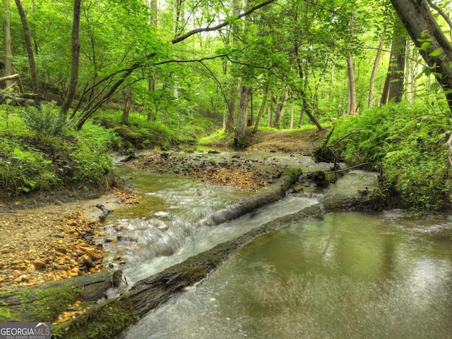 241 Dunn Mill Creek Rd, Blue Ridge, GA 30513 - water view featuring a forest