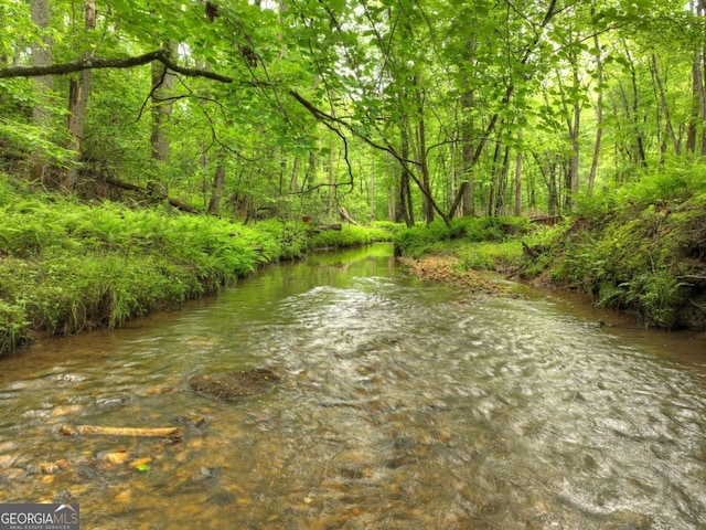 241 Dunn Mill Creek Rd, Blue Ridge, GA 30513 - water view