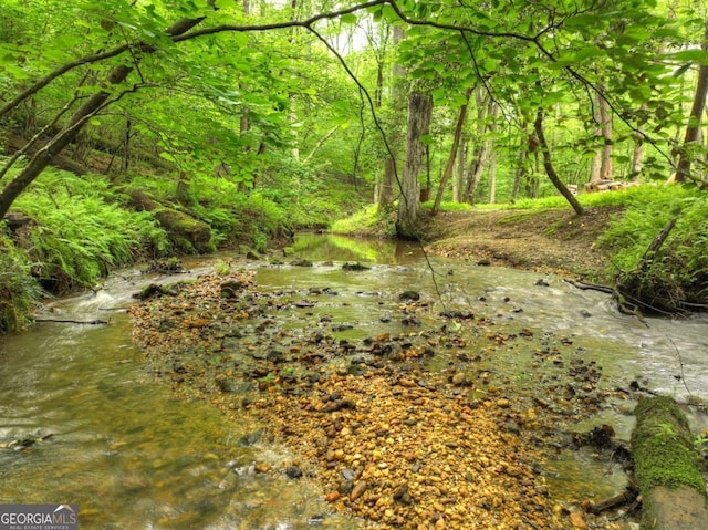 241 Dunn Mill Creek Rd, Blue Ridge, GA 30513 - view of undeveloped land