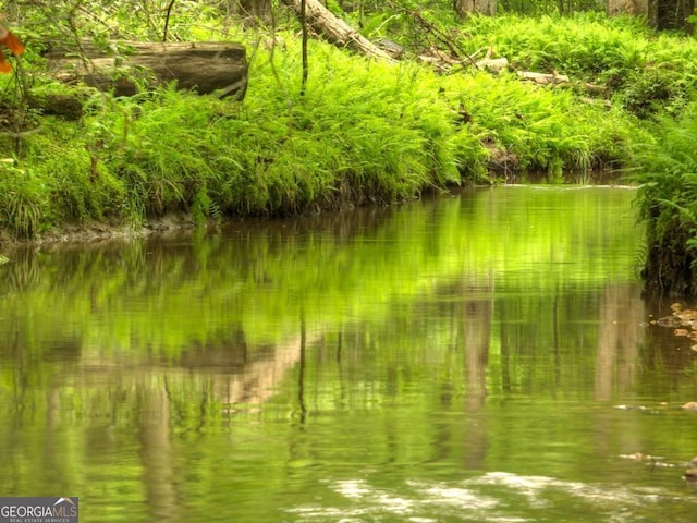241 Dunn Mill Creek Rd, Blue Ridge, GA 30513 - water view