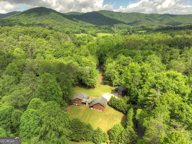 241 Dunn Mill Creek Rd, Blue Ridge, GA 30513 - aerial view of property and surrounding area with a mountain backdrop