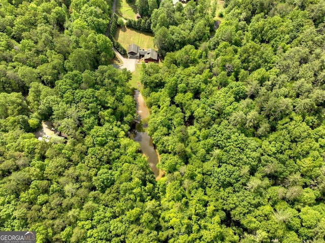 241 Dunn Mill Creek Rd, Blue Ridge, GA 30513 - bird's eye view of a heavily wooded area