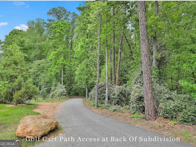 1240 Hayes Sq, Peachtree City, GA 30269 - view of road featuring a wooded view