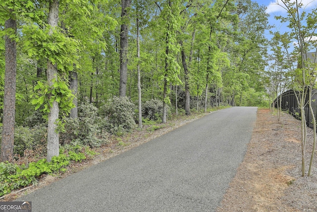 1240 Hayes Sq, Peachtree City, GA 30269 - view of asphalt road