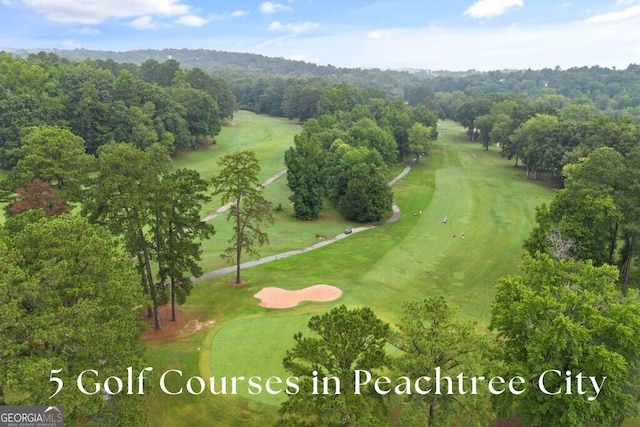 1240 Hayes Sq, Peachtree City, GA 30269 - bird's eye view of a golf course