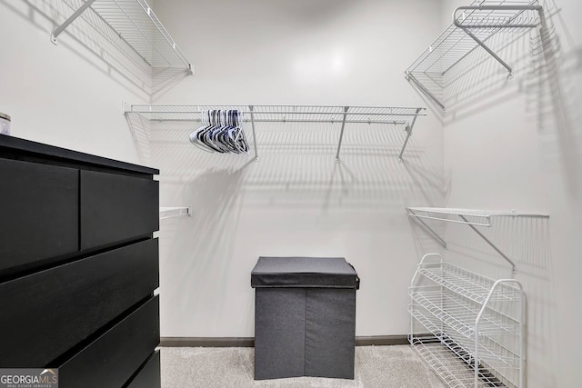 898 Oak St SW Unit 3204, Atlanta, GA 30310 - walk in closet with carpet flooring