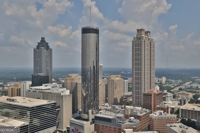 898 Oak St SW Unit 3204, Atlanta, GA 30310 - city view