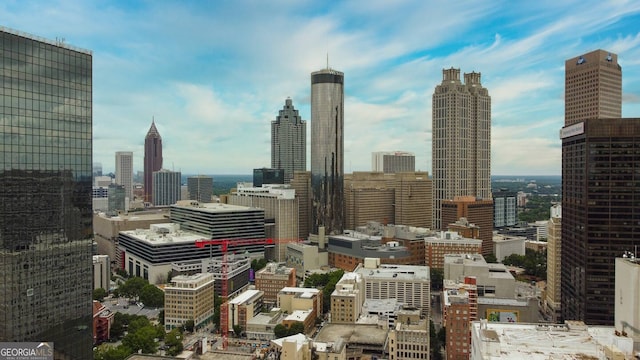 898 Oak St SW Unit 3204, Atlanta, GA 30310 - view of city skyline